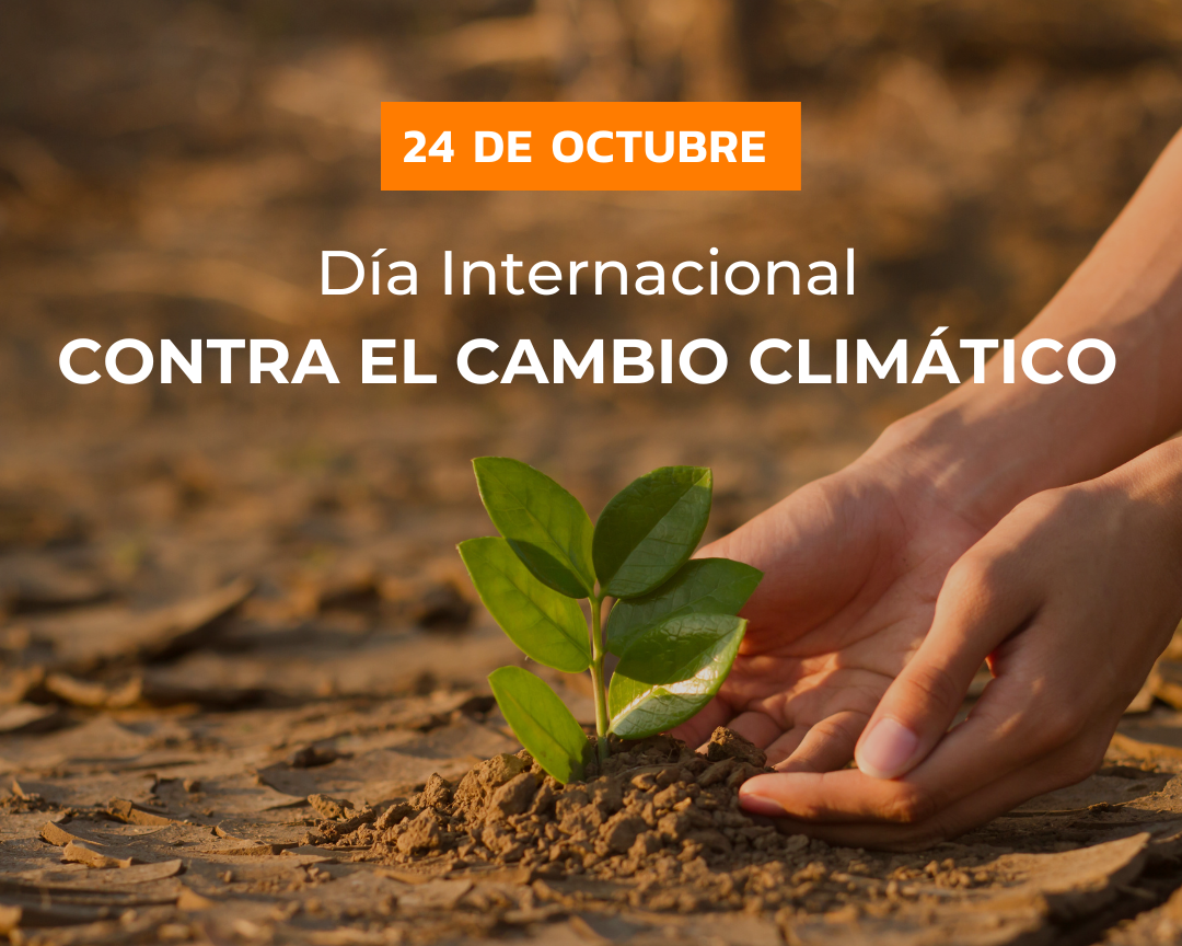 Nuestra Contribución en el Día Internacional Contra el Cambio Climático