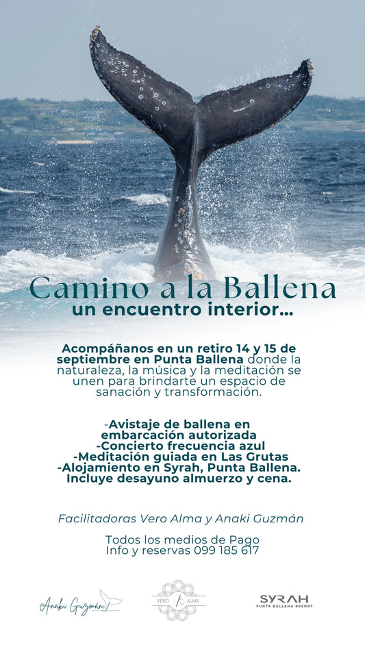 Experiencia Única En Uruguay - Camino A La Ballena