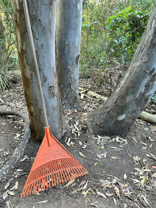 Rastrillo Escobilla de Jardín